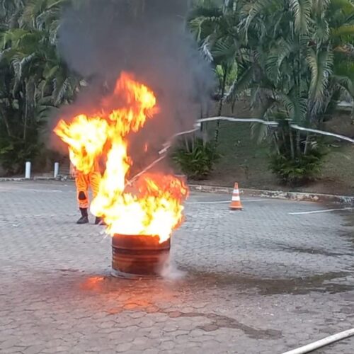 Curso de Brigadista no AEC